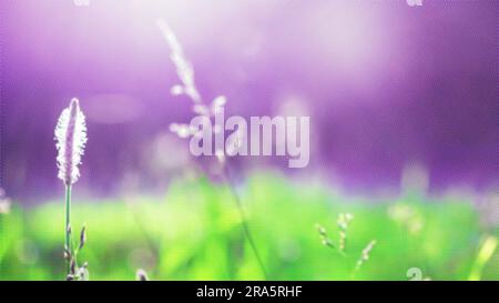 Abstract blurred background. Spring Summer. A color halftone design filter is applied. Stock Photo