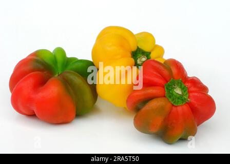 Sweet pepper (Capsicum annuum), Sweet pepper Stock Photo