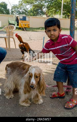 3-Year-old boy Ashwin with his dog (Canis lupus familiaris) Cocker spaniel orange roan English Cocker Spaniel, Tamil Nadu, South India, India, Asia Stock Photo