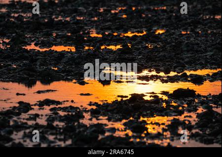 Orange glow from the low sun at sunset, reflecting in sea water on a shingle beach. Stock Photo