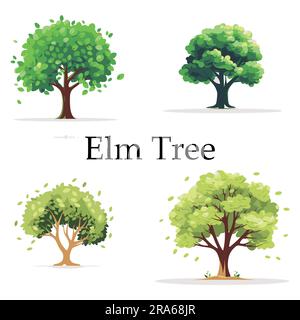 A set of Flat Elm tree vector illustration Stock Vector