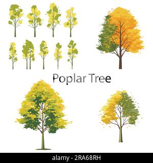 A set of Popler Tree Flat vector illustration Stock Vector