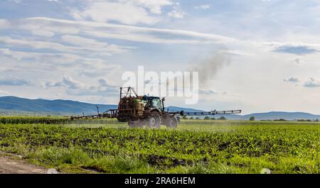 Tractor spraying pesticides on corn field with sprayer at spring Stock Photo