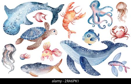 Watercolor illustrations of underwater marine animals octopus, seahorse, crab, starfish, jellyfish. Marine inhabitants of the underwater world. Stock Photo