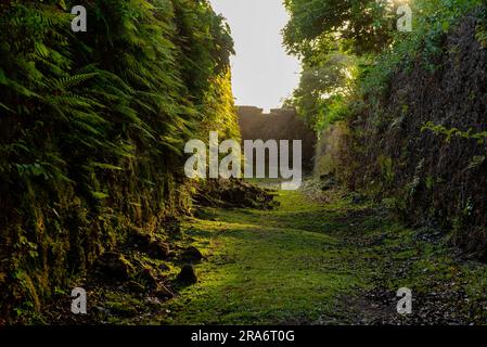 Old walls of San Lorenzo spanish fort, Colon, Panama, Central America Stock Photo
