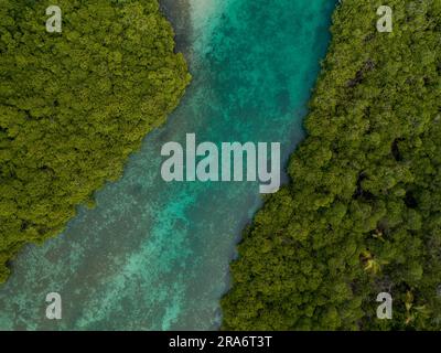 Aerial photograph of mangroves and sandbars in the Caribbean sea, Portobelo, Panama - stock photo Stock Photo