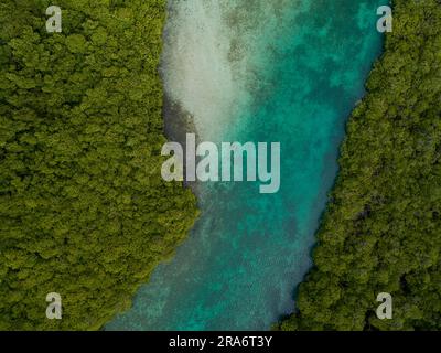 Aerial photograph of mangroves and sandbars in the Caribbean sea, Portobelo, Panama - stock photo Stock Photo