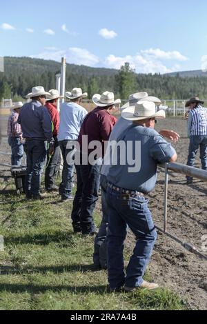 Native Rodeo Canada Native cowboys at the Mini Thni Indian Rodeo, Chiniki Rodeo Grounds in ...
