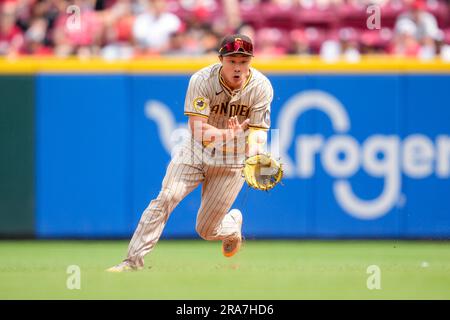 Milwaukee Brewers players sit in the dugout during a baseball game against  the Cincinnati Reds Saturday, Sept. 24, 2022, in Cincinnati. (AP Photo/Jeff  Dean Stock Photo - Alamy