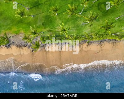 An aerial view of a woman (MR) walking on a beach beside palm trees in the late afternoon, West Maui, Hawaii, USA. Stock Photo