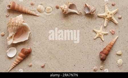 Beach summer vacation banner concept. Seashells and starfish lie on the sand, top view, flat lay, copy space Stock Photo