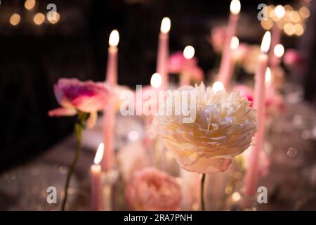 Chivalric wedding with pillars of candles and roses in glass vases. Lush garden arrangements decorating pillars by chairs. Tableware settings + bokeh. Stock Photo