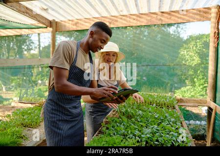 Young multiracial couple wearing aprons using digital tablet while gardening in plant nursery Stock Photo