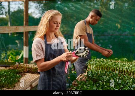 Young multiracial couple wearing aprons while gardening in plant nursery Stock Photo