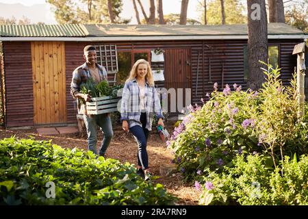 Young multiracial couple in checked shirts walking with harvest through plant nursery Stock Photo