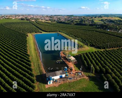 Vera Cruz, Brazil. 30th June, 2023. Aerial view of a water reservoir, used for irrigation, and a coffee plantation, during mechanized harvesting on a farm in the rural area of the municipality of Vera Cruz (SP). Coffee is one of Brazil's main export commodities Credit: Alf Ribeiro/FotoArena/Alamy Live News