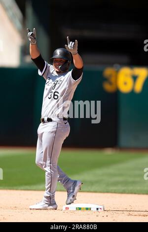 Chicago White Sox pinch hitter Carlos Pérez (36) celebrates his two-RBI  double against the Oakland Athletics during the eighth inning of a baseball  game, Saturday, July 1, 2023, in Oakland, Calif. (AP