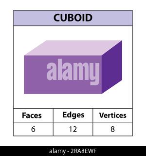 Cuboid, faces, edges, vertices Geometric figures set isolated on a white backdrop. 3d shapes. vector illustration. Stock Vector