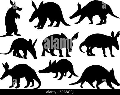Set of Aardvark Silhouette Vector Art on White Background Wild Animal Stock Vector