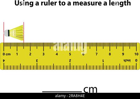 Measuring length in centimeters with the ruler. Education developing worksheet. Game for kids. Puzzle for children. Vector illustration. cartoon style Stock Vector