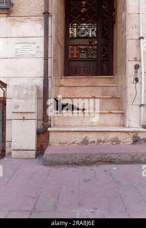 Black cat with startling eyes sits on steps in a doorway with a brown metal door with unusual symbols in Istanbul, Turkey Stock Photo