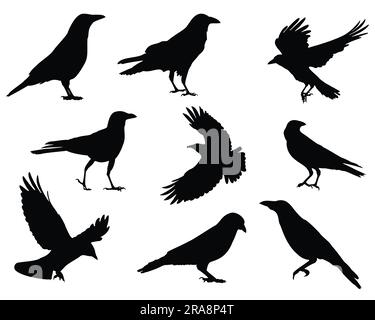 Feather of Birds. Black Feather Silhouette for Logo Vector Set Stock Vector  - Illustration of painting, fine: 229829506