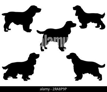 Set of Cocker Spaniel Dog Silhouette Stock Vector