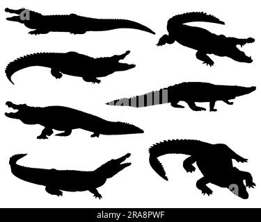 Set of Crocodile Silhouette Stock Vector