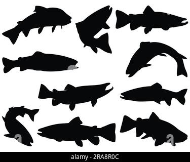 Set of Trout Fish Silhouette Vector Art on White Background Stock Vector