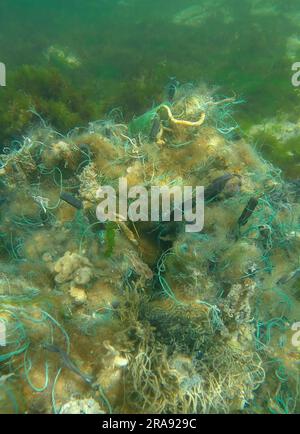July 2, 2023, Black sea, Ukraine: Dead Goby fish in lost fishing net lies on seabed on bright sunny day in Black sea, Ghost gear pollution of Seas and Ocean, Black sea, Odessa, Ukraine (Credit Image: © Andrey Nekrasov/ZUMA Press Wire) EDITORIAL USAGE ONLY! Not for Commercial USAGE! Credit: ZUMA Press, Inc./Alamy Live News Stock Photo