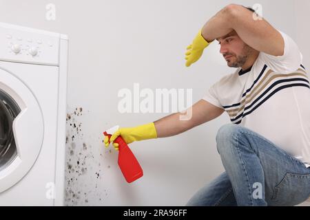 Man in rubber gloves using mold remover on wall in bathroom Stock Photo