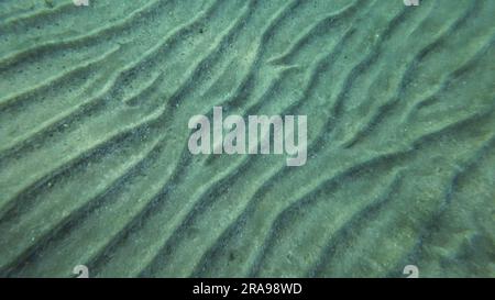 Red Sea, Egypt. 17th June, 2023. Sandy bottom covered with sand hills, Natural background from the underwater depth, Red sea, Egypt (Credit Image: © Andrey Nekrasov/ZUMA Press Wire) EDITORIAL USAGE ONLY! Not for Commercial USAGE! Stock Photo