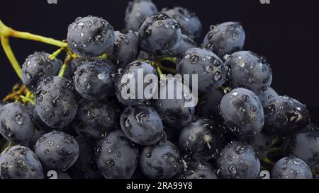 bunch of ripe dark grape with drops of water isolated on black background Stock Photo