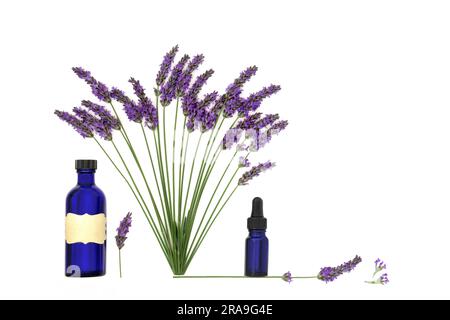 Lavender flower herb used in natural alternative herbal medicine and aromatherapy with essential oil bottles. Healthy adaptogen food. Stock Photo