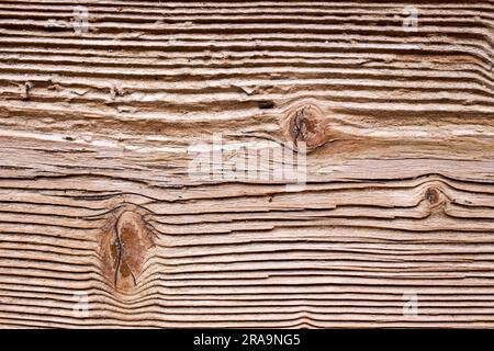 Vintage brushed old board of hard wood, detail of knots Stock Photo