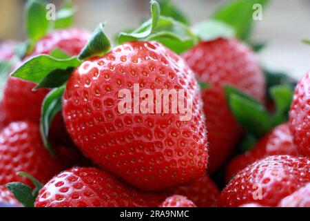 Red Strawberry Stock Photo