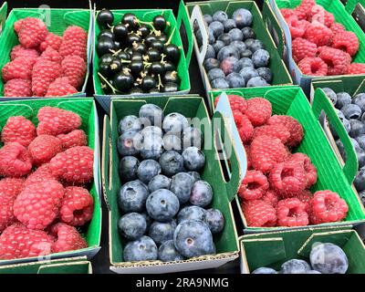 Close-up of fresh harvested blueberries, raspberries and black currant in fruit boxes for sale at farmers market. Stock Photo