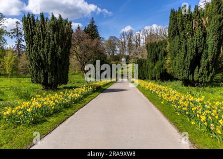 Yew tree walk with view of Lady Alice Temple in the grounds of Hillsborough Palace, formerly known as Hillsborough Castle, Co. Down, Northern Ireland. Stock Photo