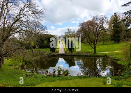 View of the Yew tree walk towards Hillsborough Palace, formerly known as Hillsborough Castle, Co. Down, Northern Ireland. Stock Photo