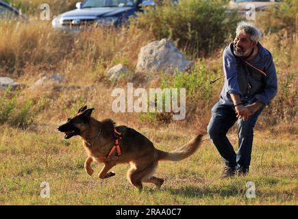 Beirut, Lebanon. 1st July, 2023. A man interacts with a dog during the 'Dogs Do Care Event' in Beirut, Lebanon, July 1, 2023. Credit: Liu Zongya/Xinhua/Alamy Live News Stock Photo