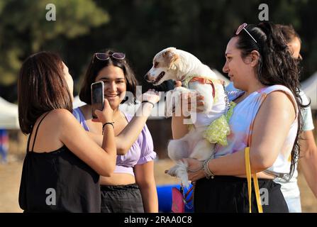 Beirut, Lebanon. 1st July, 2023. People interact with a dog during the 'Dogs Do Care Event' in Beirut, Lebanon, July 1, 2023. Credit: Liu Zongya/Xinhua/Alamy Live News Stock Photo