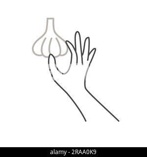 Hand holding garlic. Balanced healthy food and vegan diet concept. Hand drawn vector illustration. Stock Vector