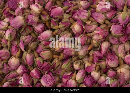 Dry tea roses isolated on a white background. Stock Photo