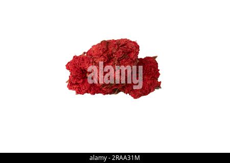 Dried pomegranate flower isolated on a white background. Top view. Stock Photo
