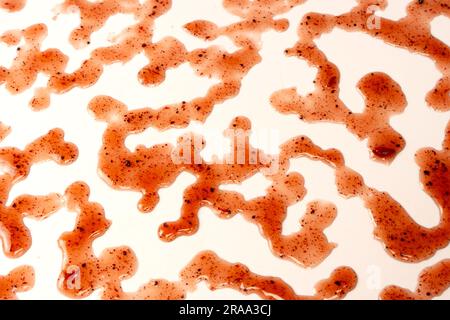 Red jam splashes isolated on a white background. Top view. Stock Photo