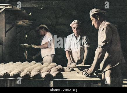 German prisoners in Britain post-World War Two. Rolling dough for the camp's bread, a highly skilled job performed by prisoners who were all bakers before the war, with excellent results. The ILN writes that the prisoners have only one real complaint - uncertainty, and that at the time of writing the British Government had not yet announced its future plans even though hostilities ceased over a year before.     Date: 1946 Stock Photo