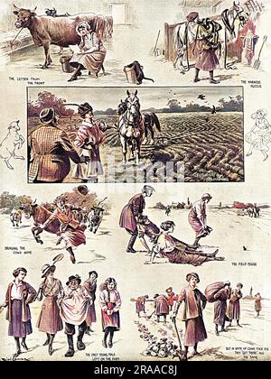 Page of illustrations depicting the trials and tribulations of women working on the land in place of men during the First World War.  The sketches are a little chauvinistic, showing women terrified of mice, ploughing in wavy lines and spending time writing letters to sweethearts rather than milking cows but the final picture confirms with grudging approval that despite all these alleged mishaps, they 'get there' all the same.     Date: 1916 Stock Photo