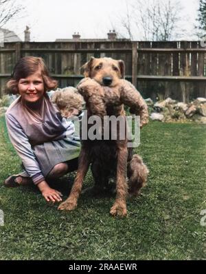 A girl sits on the lawn in her back garden.  A large dog sits next to her with a teddy bear in its mouth.     Date: 1928 Stock Photo