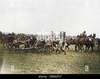 British horse artillery in action or training, WW1 Stock Photo - Alamy