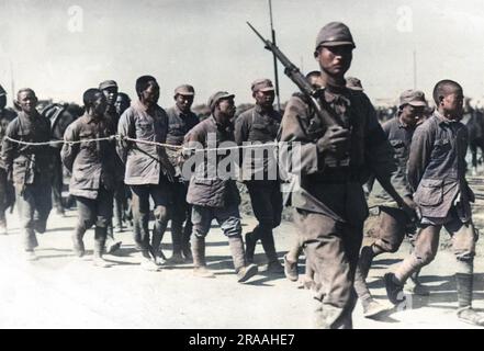 Chinese prisoners, bound together with ropes, are led away by their Japanese captors during the Battle of Shanghai.     Date: Nov-37 Stock Photo